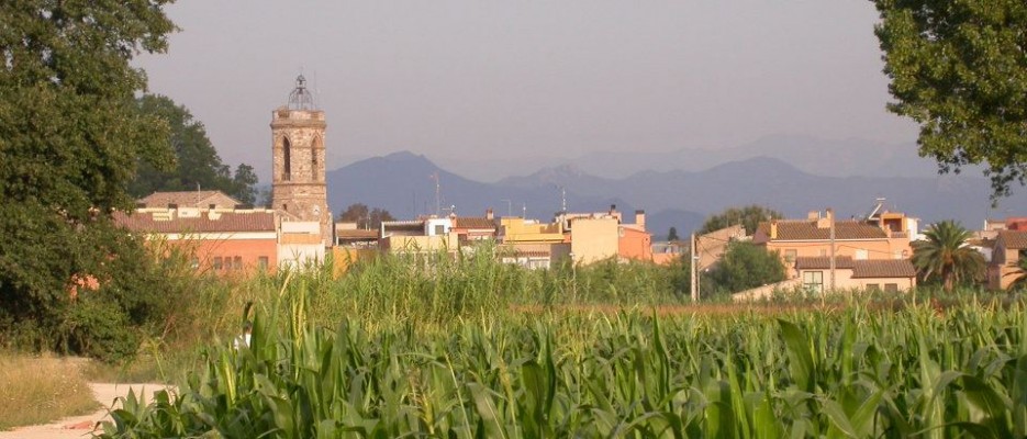 Benvinguts a la web de l'Ajuntament de Cabanes